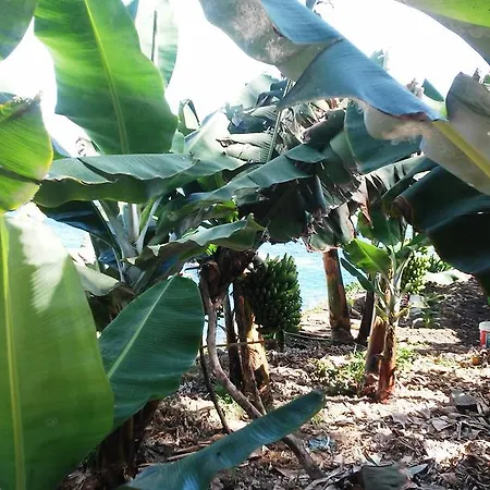 Alenes Del Mar בית נופש San Juan de la Rambla