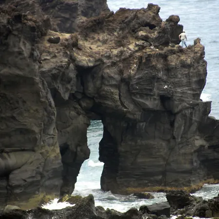 Alenes Del Mar