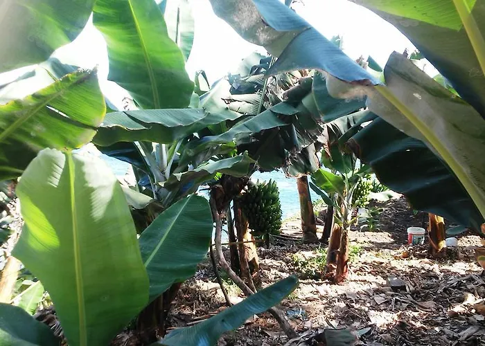 Alenes Del Mar Dom wakacyjny San Juan de la Rambla