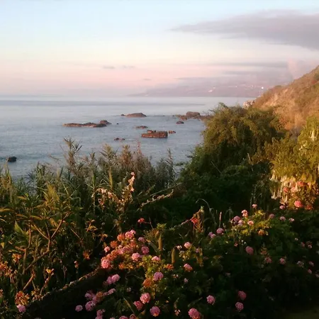 別荘 Alenes Del Mar