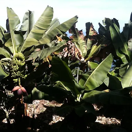 Alenes Del Mar San Juan de la Rambla